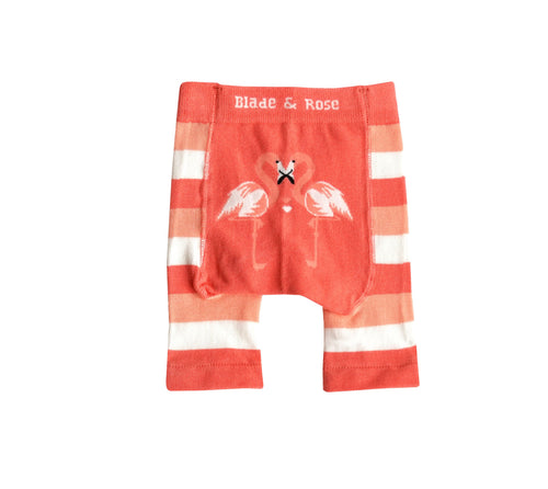 Flamingo Shorts